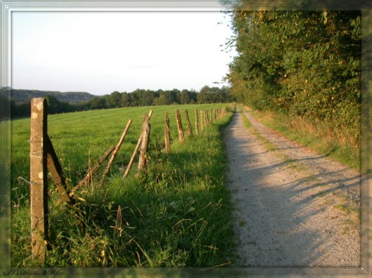 dirt-road-nature-green